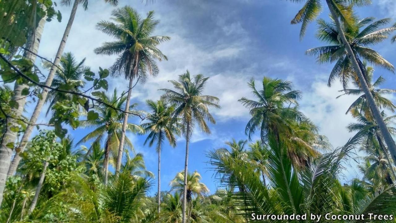 Mansuar Raja Ampat Bungalows Kri Bagian luar foto