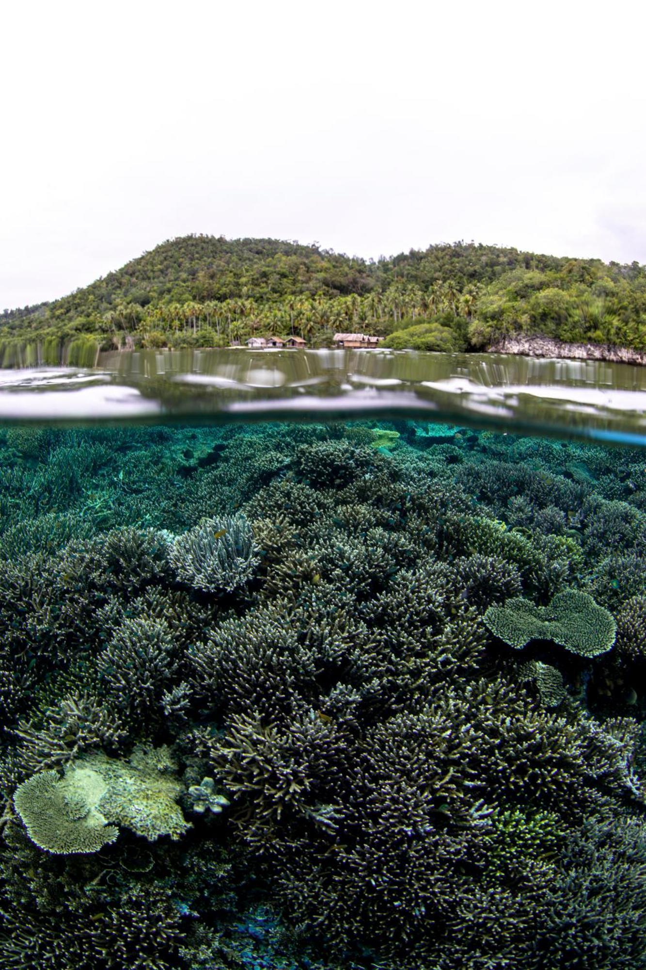 Mansuar Raja Ampat Bungalows Kri Bagian luar foto